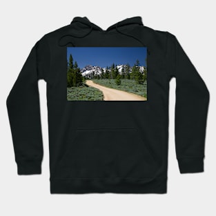 850_1854 Hoodie